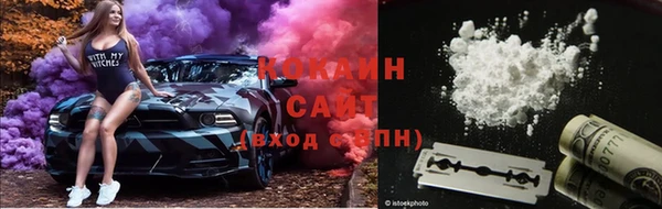 гидра Беломорск