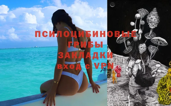 ПСИЛОЦИБИНОВЫЕ ГРИБЫ Белокуриха