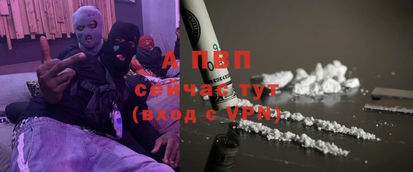 ПСИЛОЦИБИНОВЫЕ ГРИБЫ Белокуриха