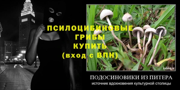 гидра Беломорск