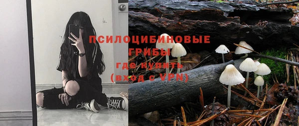 ПСИЛОЦИБИНОВЫЕ ГРИБЫ Белокуриха