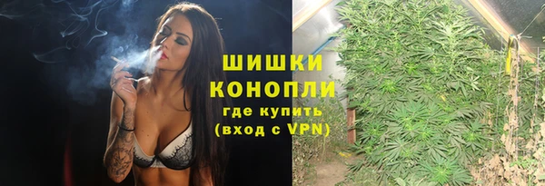 ПСИЛОЦИБИНОВЫЕ ГРИБЫ Белокуриха