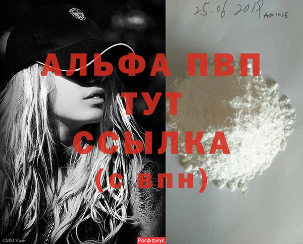 ПСИЛОЦИБИНОВЫЕ ГРИБЫ Белокуриха