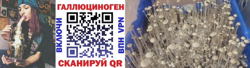Галлюциногенные грибы GOLDEN TEACHER  хочу   Сковородино 